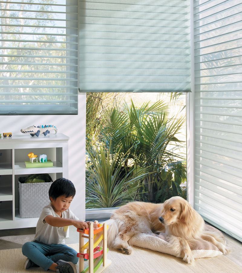 sheer shades in child's playroom for child safe operation Chicago IL