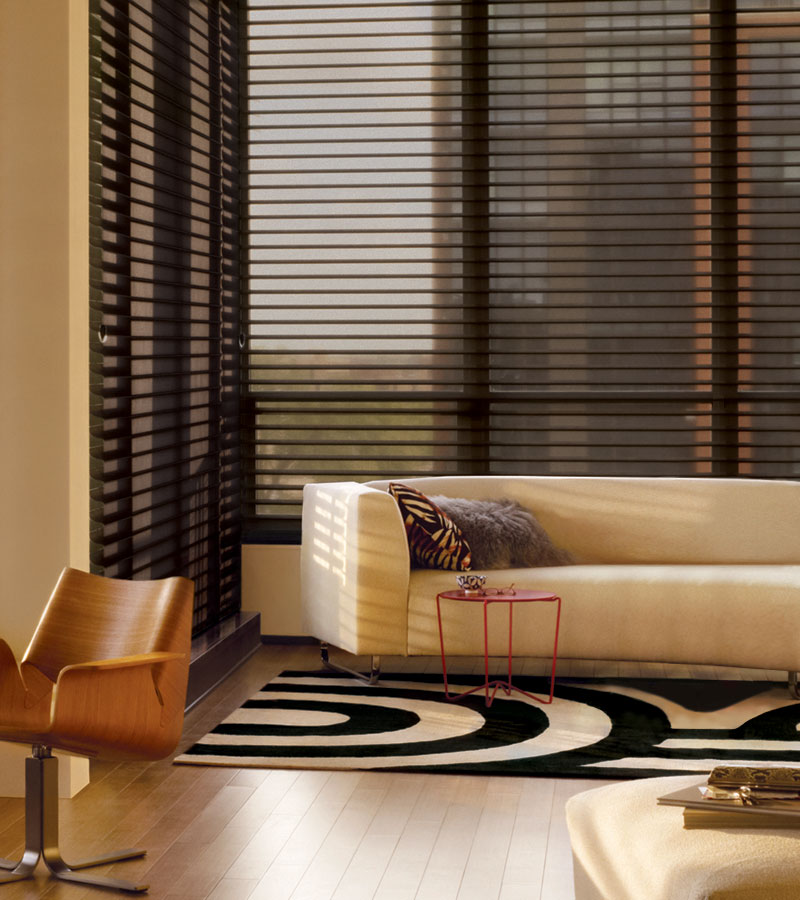 dark fabric sheer shades for tall windows in Chicago IL