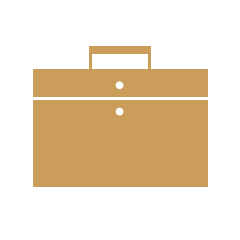 portfolio icon