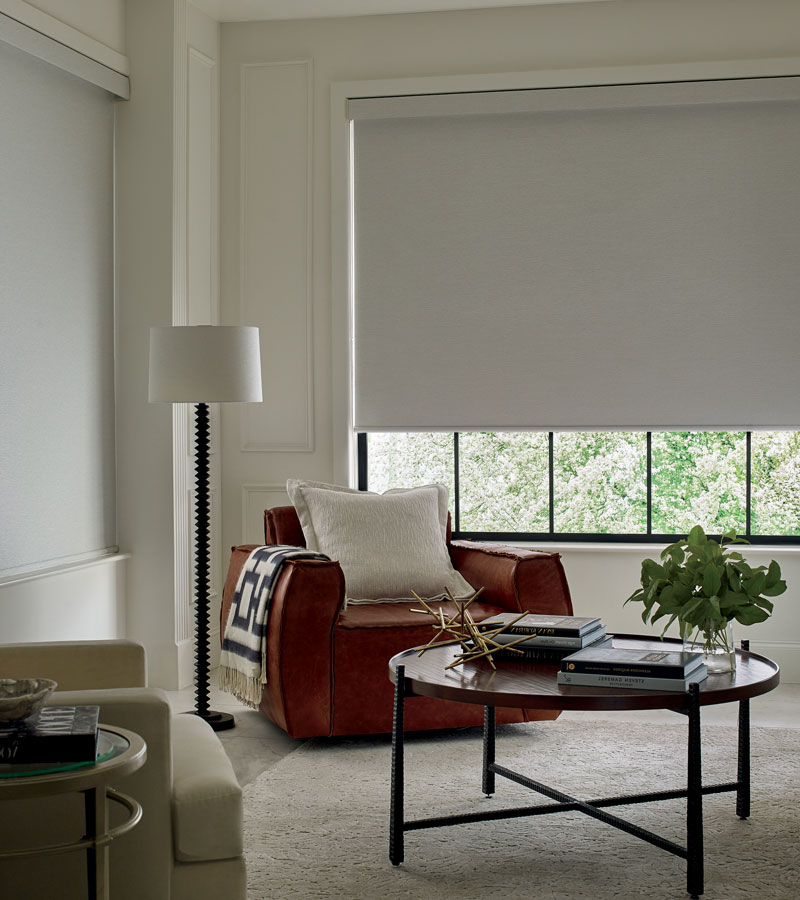 room darkening roller blinds in Naperville IL living room