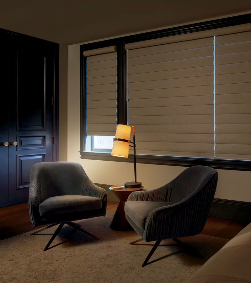 home office with room darkening blinds in Chicago 60618