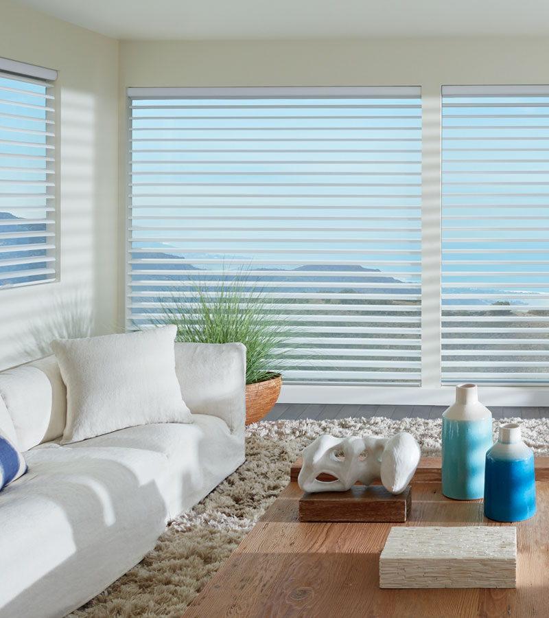 choosing window shades for view-through Portland OR