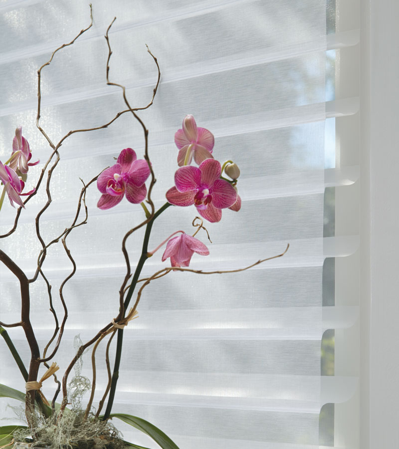 purple orchid with close up sheer shades in Chicago home