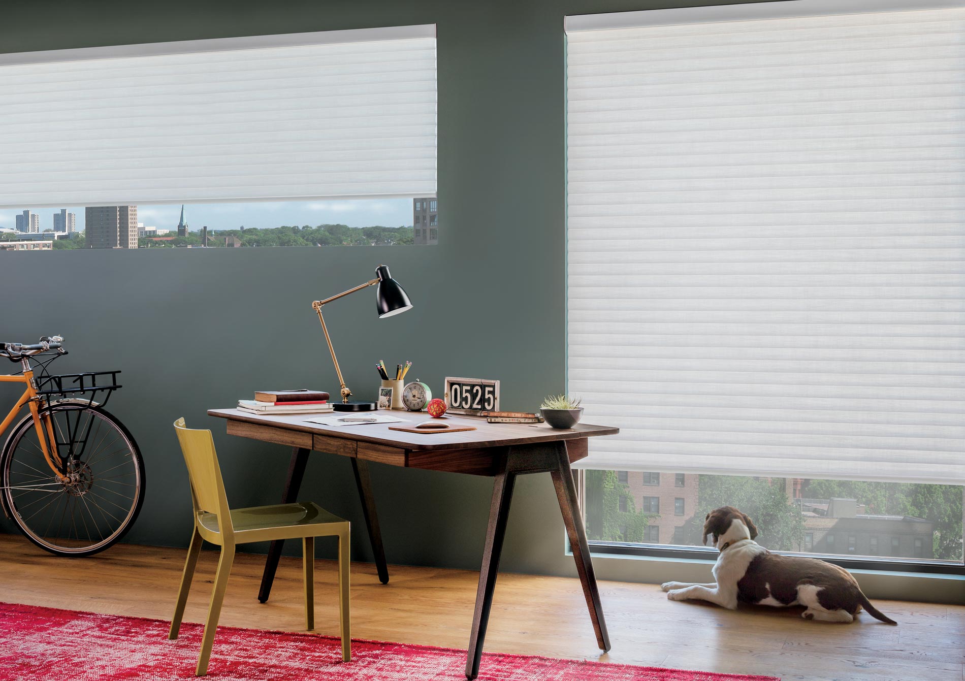 Cellular roller shades in chicago condo