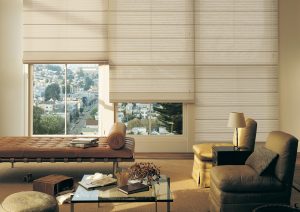 woven textures roman shades in Portland OR living room