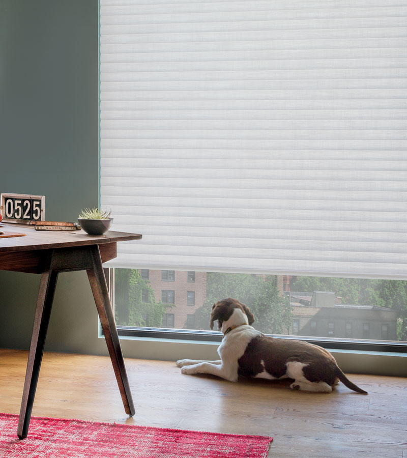 white cellular shades in Chicago condo