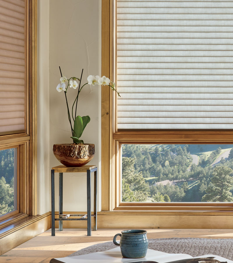 beige window shades for energy efficiency in Portland OR