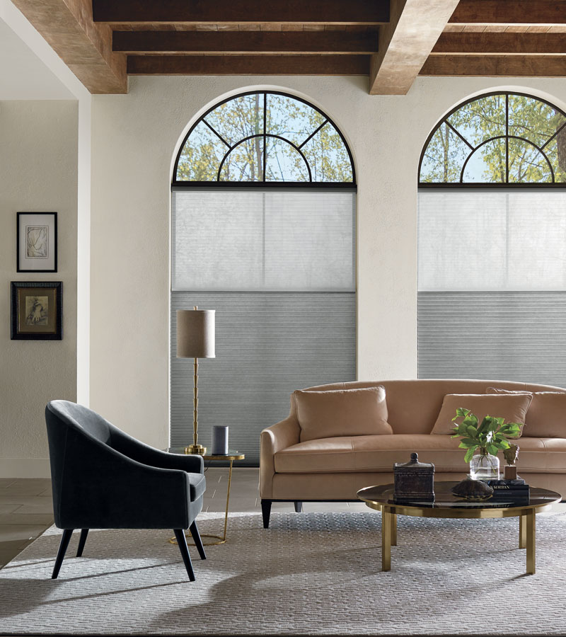 dual shade arched window treatments for black trim arched windows in Portland OR