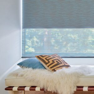 dual roller shades in Chicago IL home