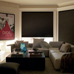 lightlock for honeycomb shades is blackout for media rooms in Portland OR