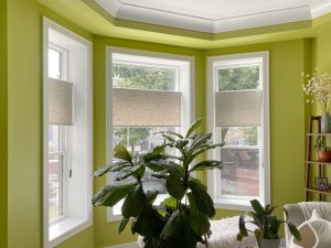 green walls with top down honeycomb shades on bay window nook in Chicago 60657