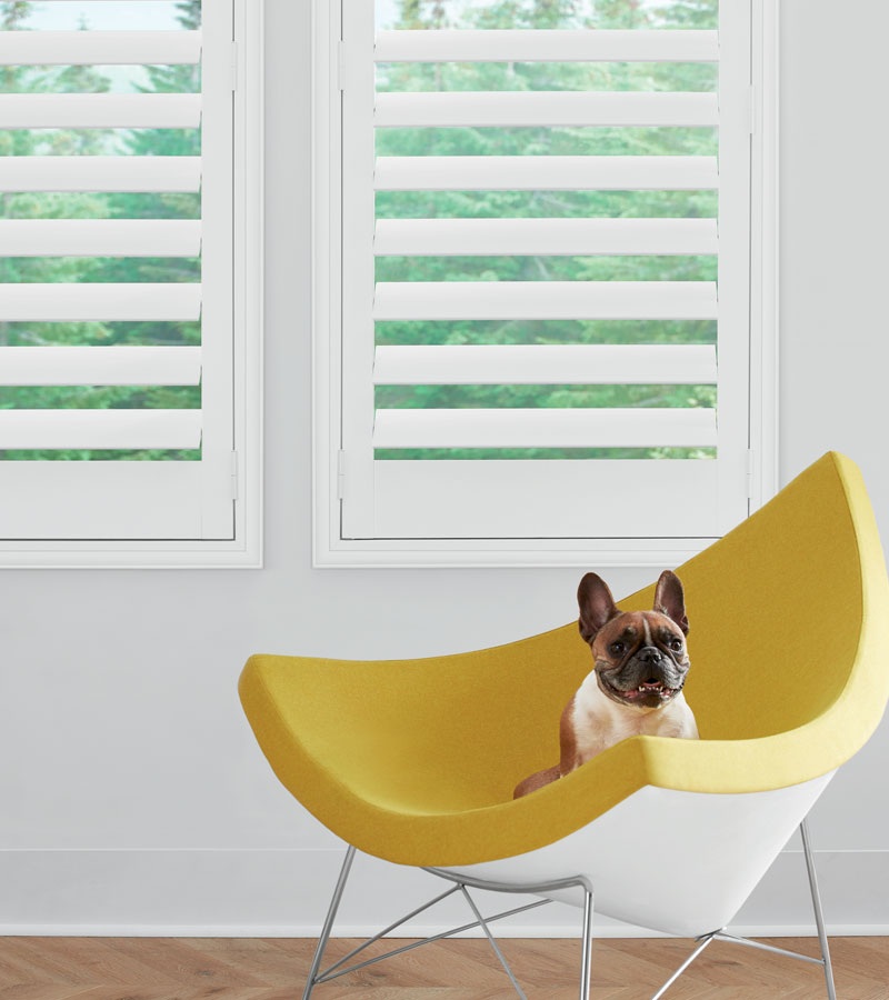 contemporary home with white interior shutters in Chicago IL
