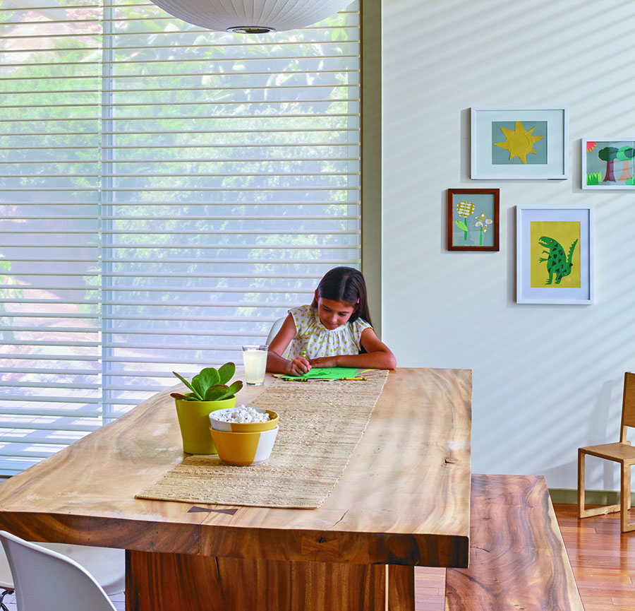 Sheer shades in kitchen, Chicago, IL