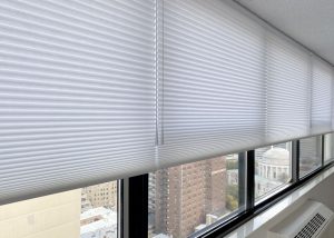 duette shades