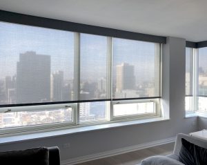 designer roller shades