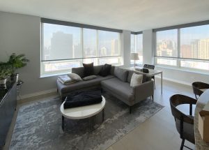 designer roller shades