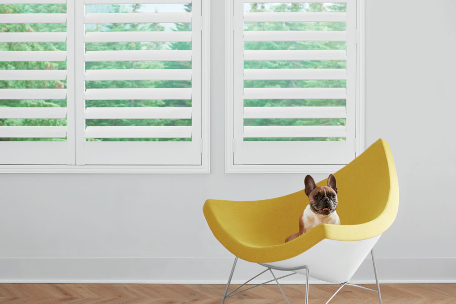 Interior shutters that are pet friendly for Naperville IL homes