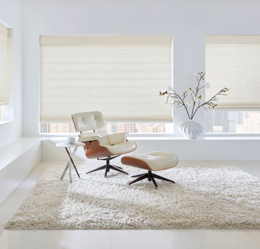 contemporary living room and mid century modern eames chair in Chicago, IL loft apartment