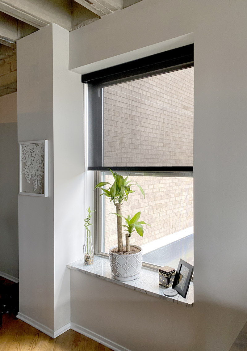 black screen shade with plants on window sill