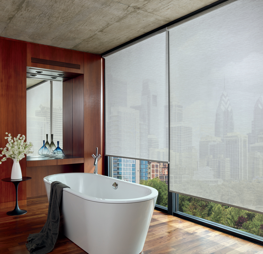 Screen shades as a bathroom feature in chicago IL loft