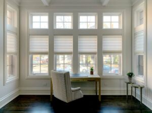 traditional vignette roman shades office