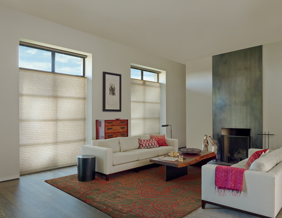 windows with black trim in living room covered by light filtering honeycomb shades