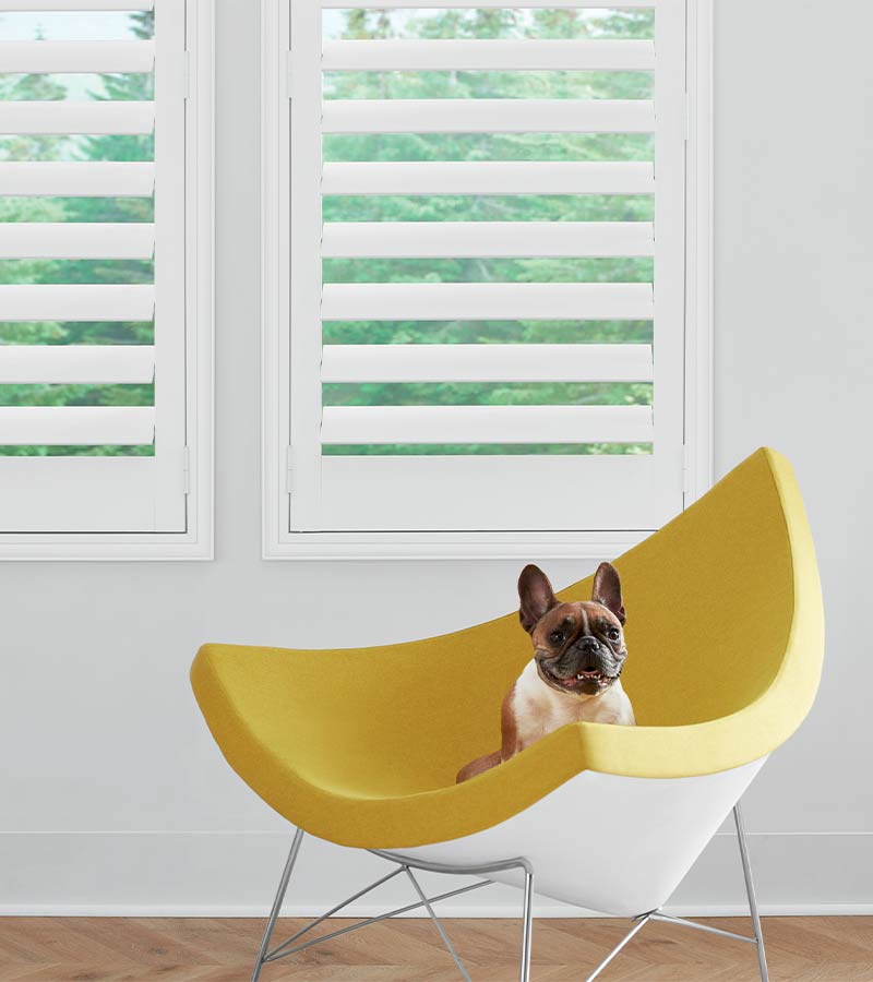 pet friendly interior white shutters Winnetka, IL