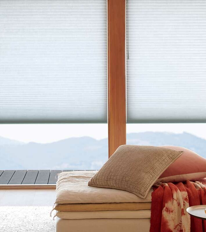 cellular shades on large windows