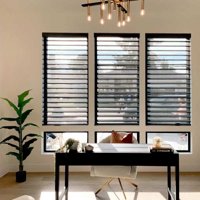 black silhouette office shades