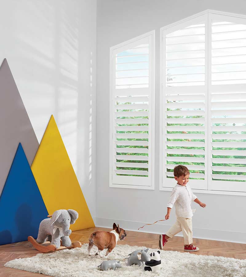 dog chasing boy in playroom with white wood shutters in Portland, OR