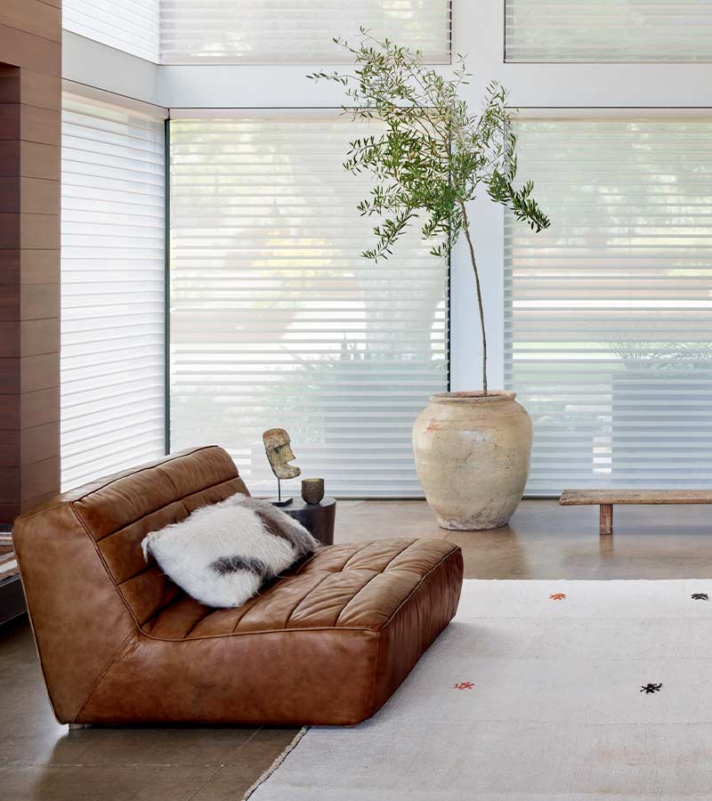 floor to ceiling shades next to leather lounger and large potted tree in Los Angeles, CA