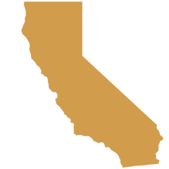 california state icon