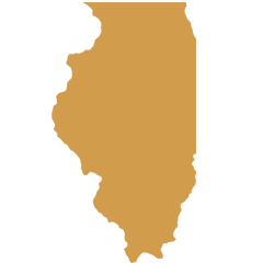 illinois state icon