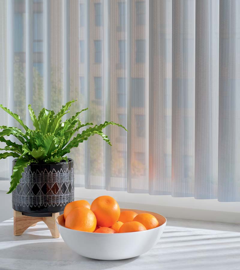 Sheer gray window shades next to potted house plant and oranges in North Shore