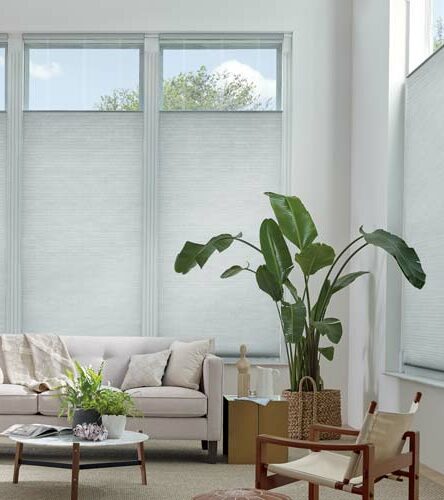 living room with gray window shades that lower from the top