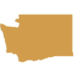 washington state icon