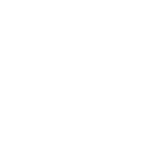 washington state icon