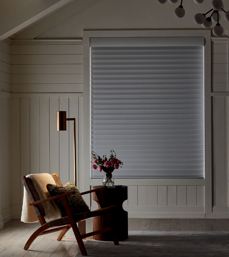 shiplap living room with dual shade for room darkening and light filtering