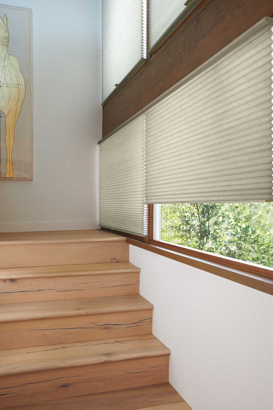 honeycomb shades on windows next to stairs in Portland OR