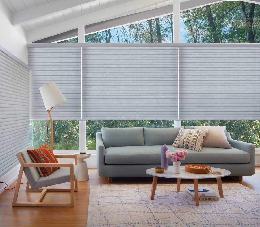 cellular roller shades on all glass wall