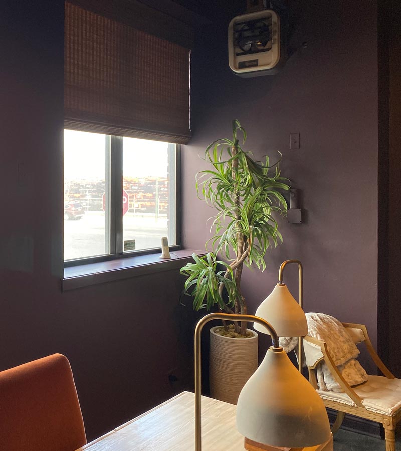 bowery & bash modern office space with provenance woven wood shades and plant