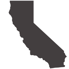 california state icon