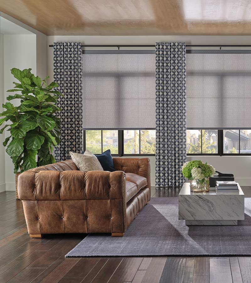 drapery and roller shades on windows in contemporary living room