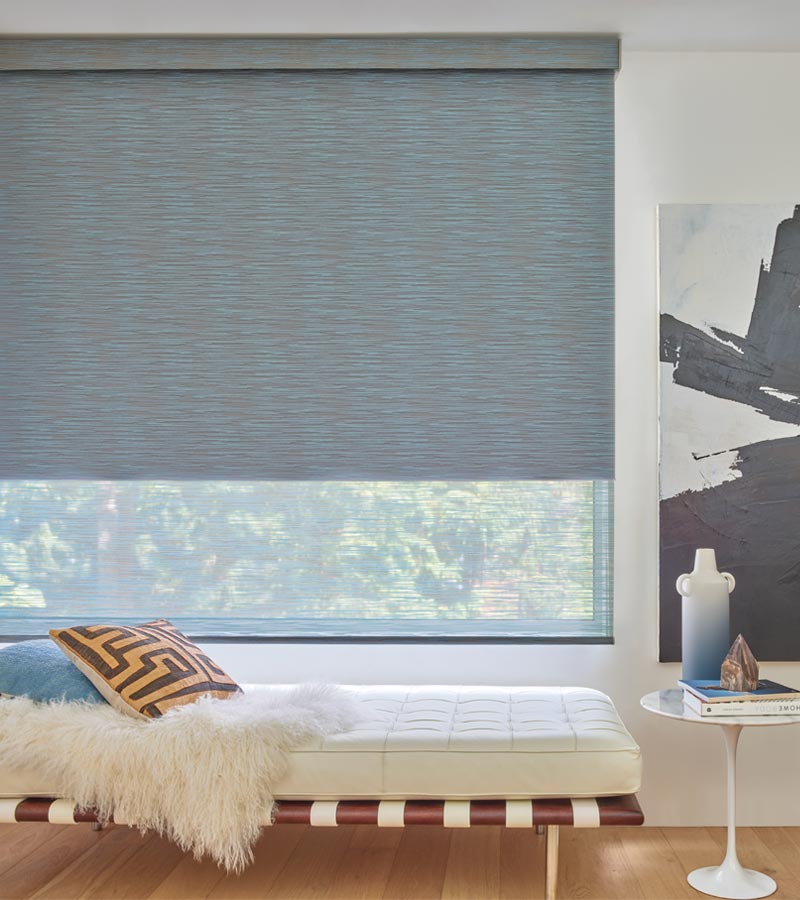 blue dual designer roller shades