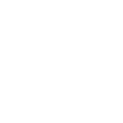 new york state icon