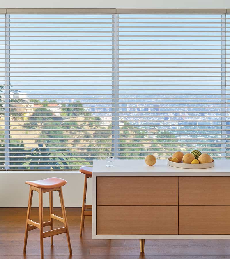 view of landscape outside not disrupted by fabric shades because of clearview