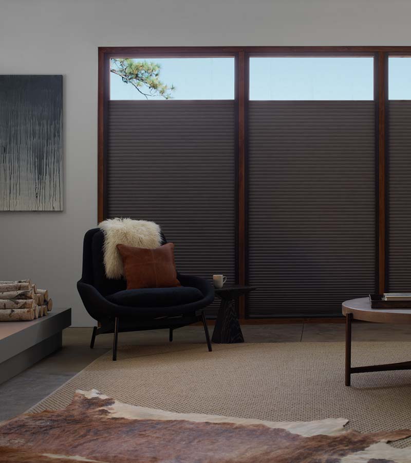 skyline window coverings beverly hills top down blackout shades
