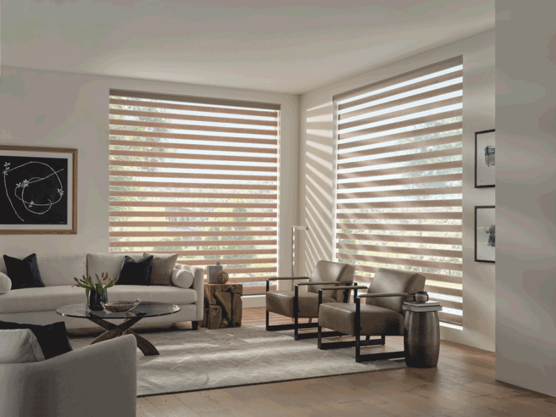 zebra shades changing position for privacy and light control with motorized roller shades