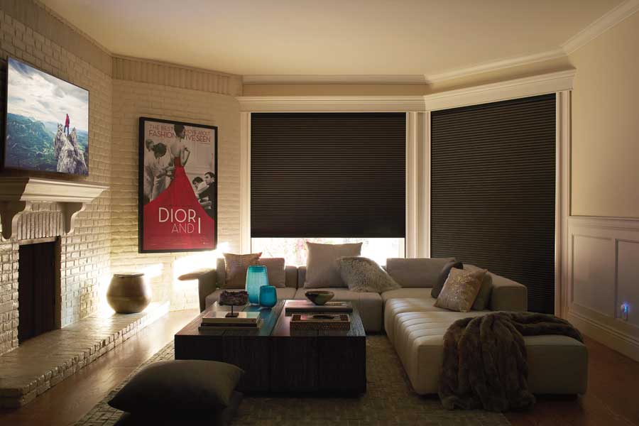 media room with blackout shades in Wilmette IL