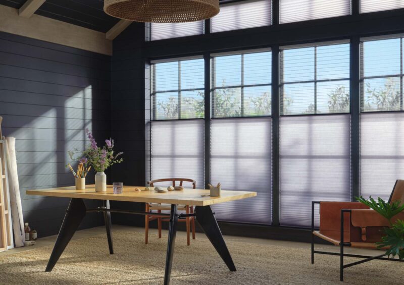 duette honeycomb dual shades with clearview for sheer view-through